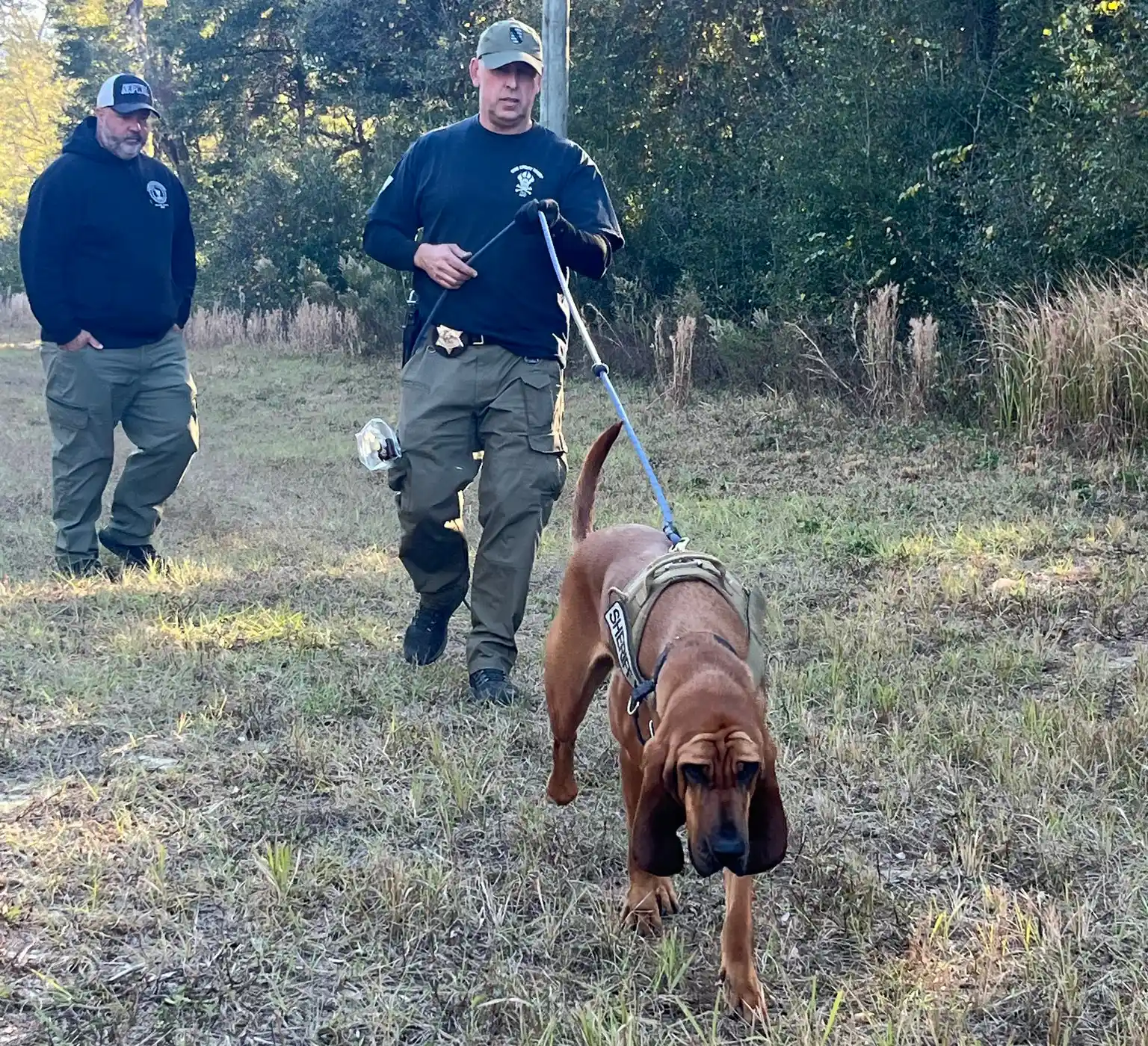 Sheriff's deputies learning to control the bloodhound.