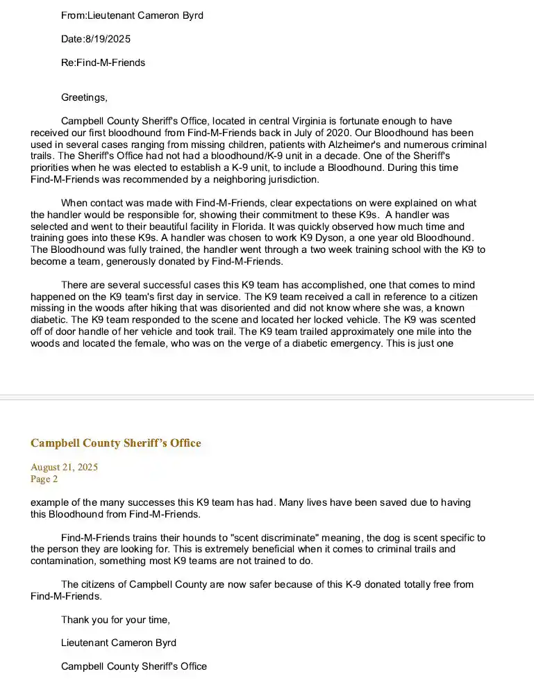 Bloodhound puppies running through a field.